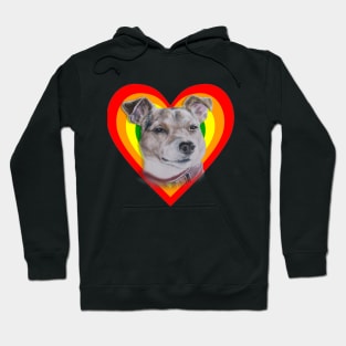 Love heart Jack Russell terrier! Hoodie